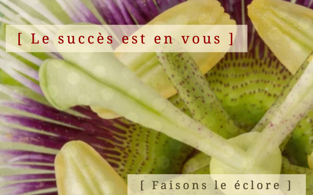 [ æsprï ] s’installe au MIC