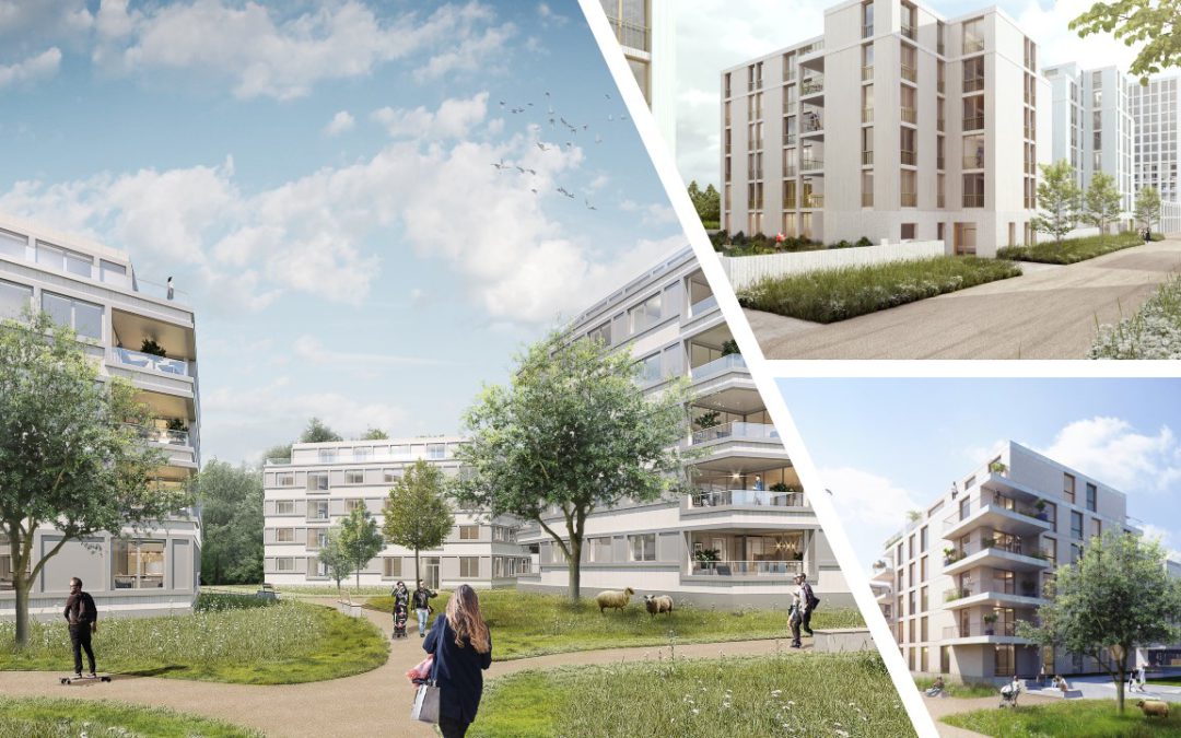 Eco quartier: La construction démarre!