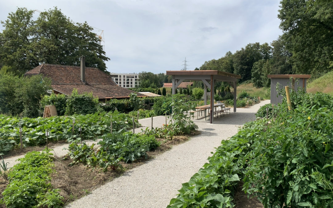 23.05.24 | DURABILITE: Les jardins partagés de Marly inaugurés